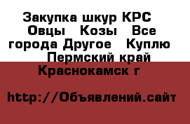 Закупка шкур КРС , Овцы , Козы - Все города Другое » Куплю   . Пермский край,Краснокамск г.